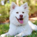 file-20180212-58348-7huv6f