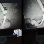 فيديو جديد للطفل ريان من داخل البئر