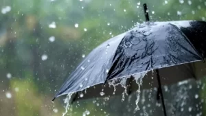 034067ff 12af 4a14 bd80 e3785171bfdc.webp 770x433 1