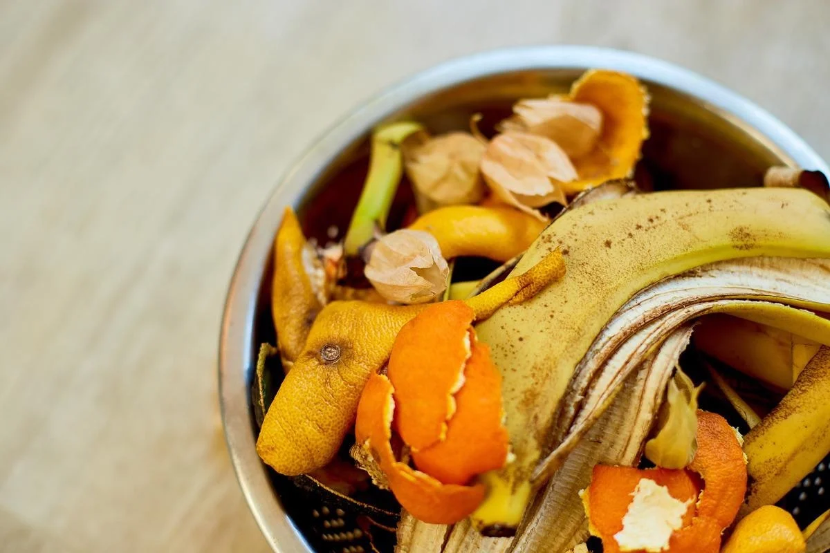 ImageForNews 716468 1655109652696272