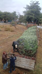 587115984 10161726709646036 6930030069684993804 n