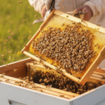 Gemini Generated Image m5xm49m5xm49m5xm 1