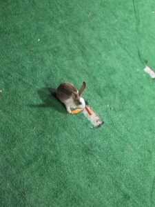 IMG 20260909 WA0150